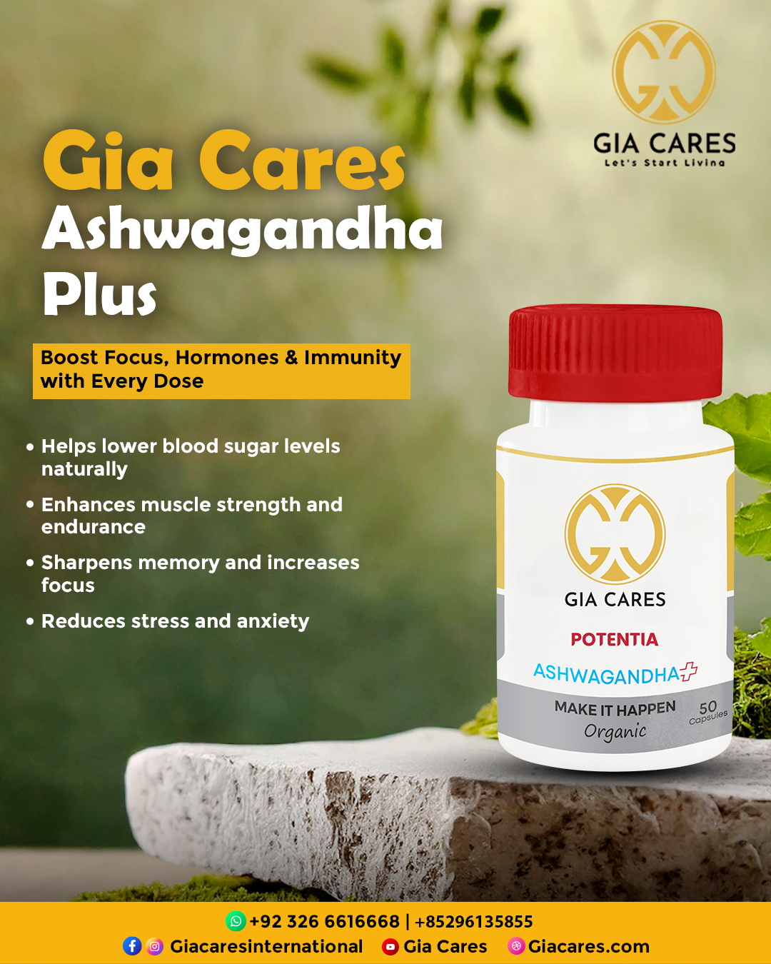 giacaresinternational_1765713613_3787402751911976468_75909095466